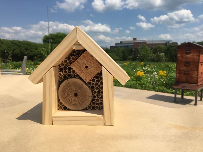 A small wooden bee hotel sits on a table
