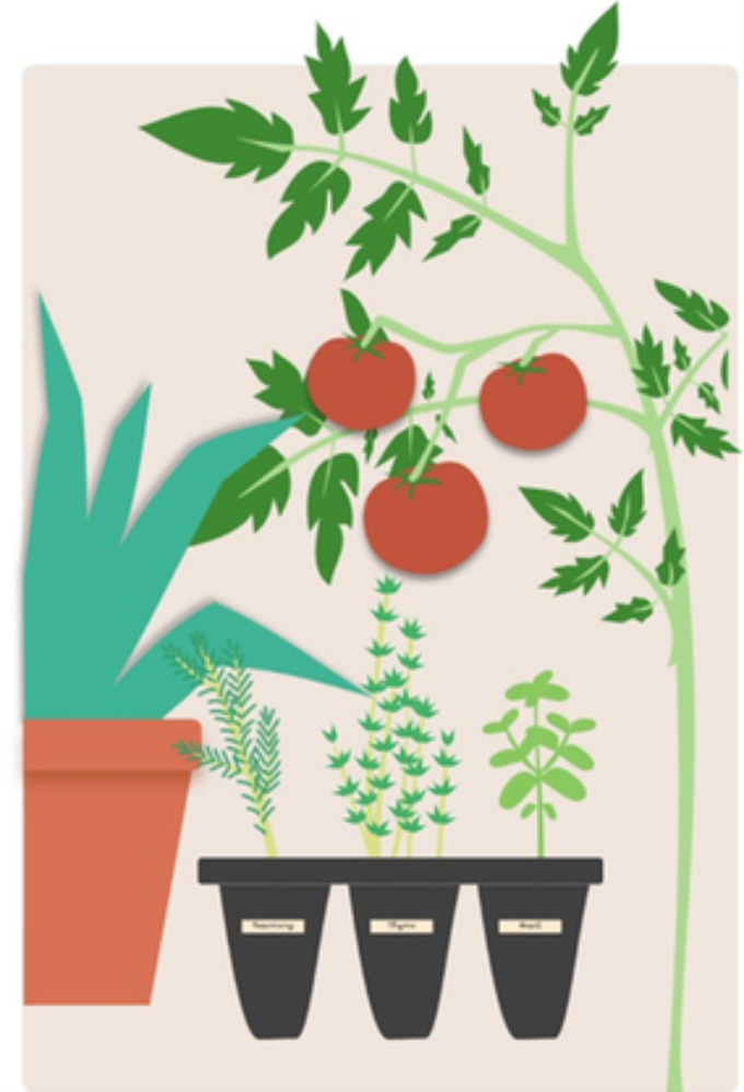 Plant Sale poster - drawing of potted plants and a tomato vine