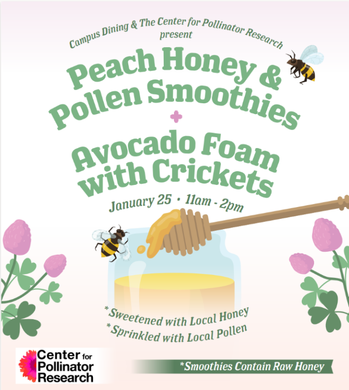 flyer with a picture of a smoothie and a honey bee