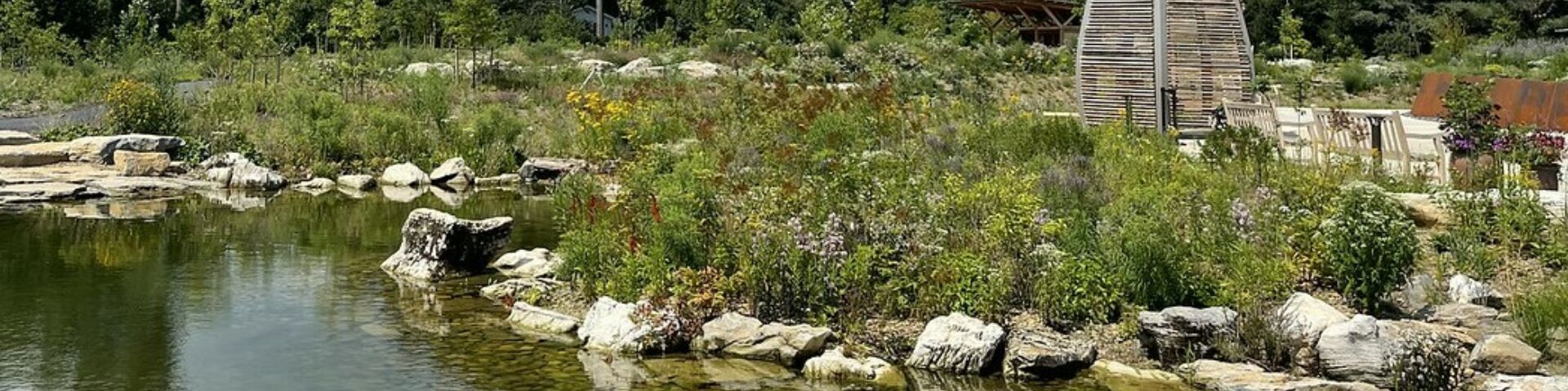 Photo of the pond at the penn state arboretum.