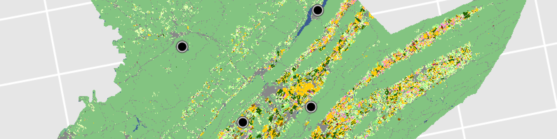 BeeShiny data is used to generate a land use map of Centre Co., PA