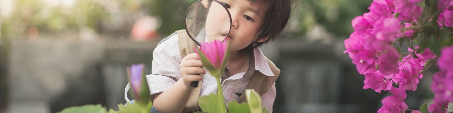 Young person looking intently at a pink flower through a magnifying glass