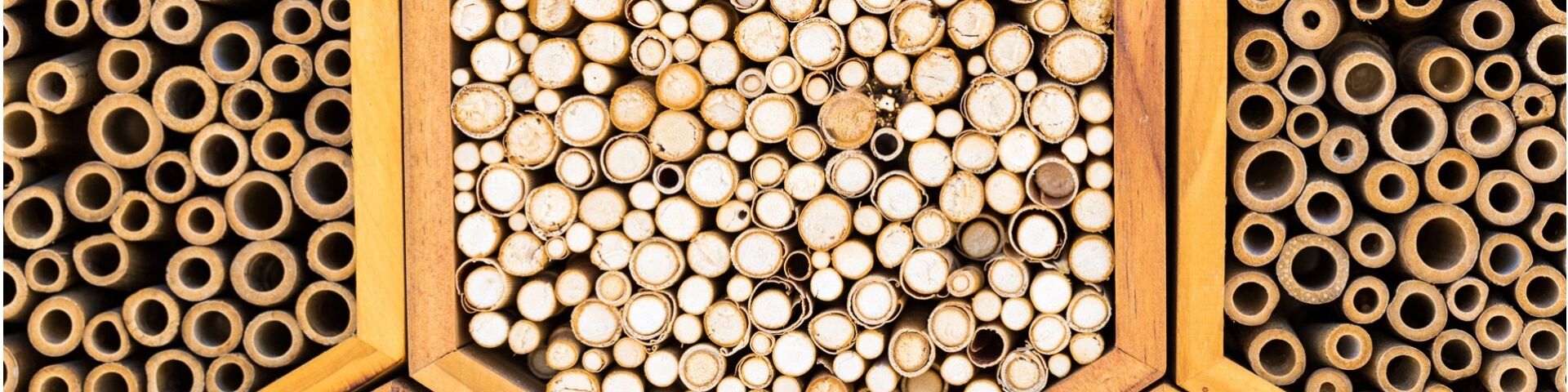 Man-made bug hotels provide nesting sites for pollinators - hexagon structures filled with sticks shown