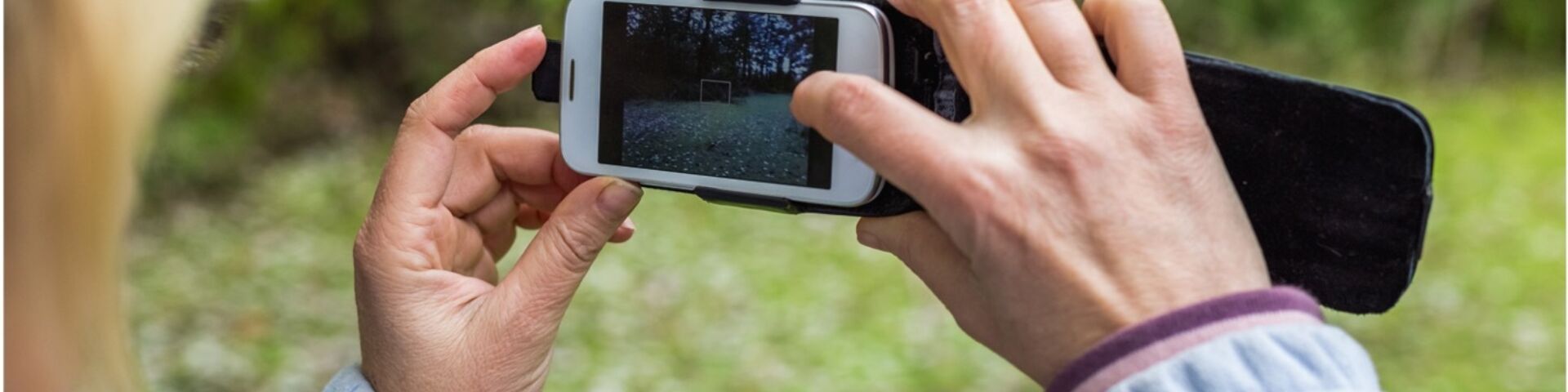 Photo of a person taking a photo of a garden with their phone