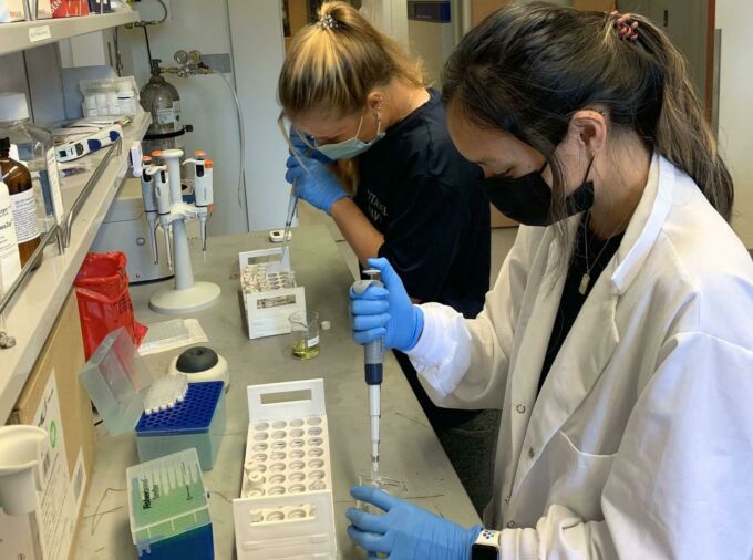 Two researchers working with samples