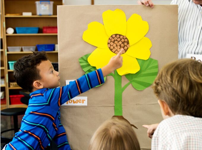 Child pointing to the pollen in the center of a construction paper flower during a classroom lesson