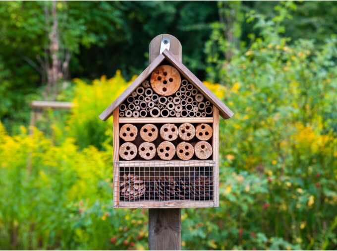 wooden bee hotel in a garden setting