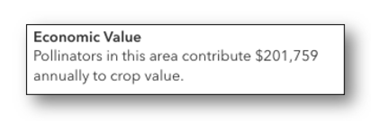 Screenshot of the Economic Value information in Beescape. In this example, Pollinators in this area contribute $201,759 annually to crop value.