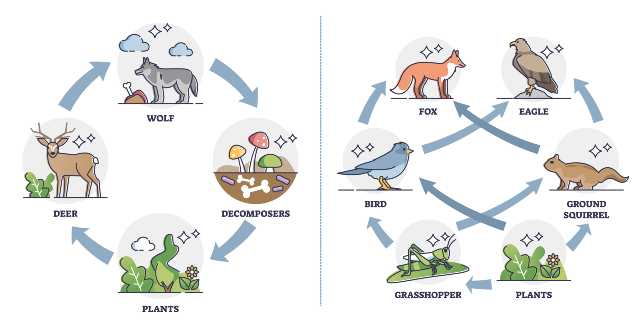 What Is A Pollinator The Center For Pollinator Research