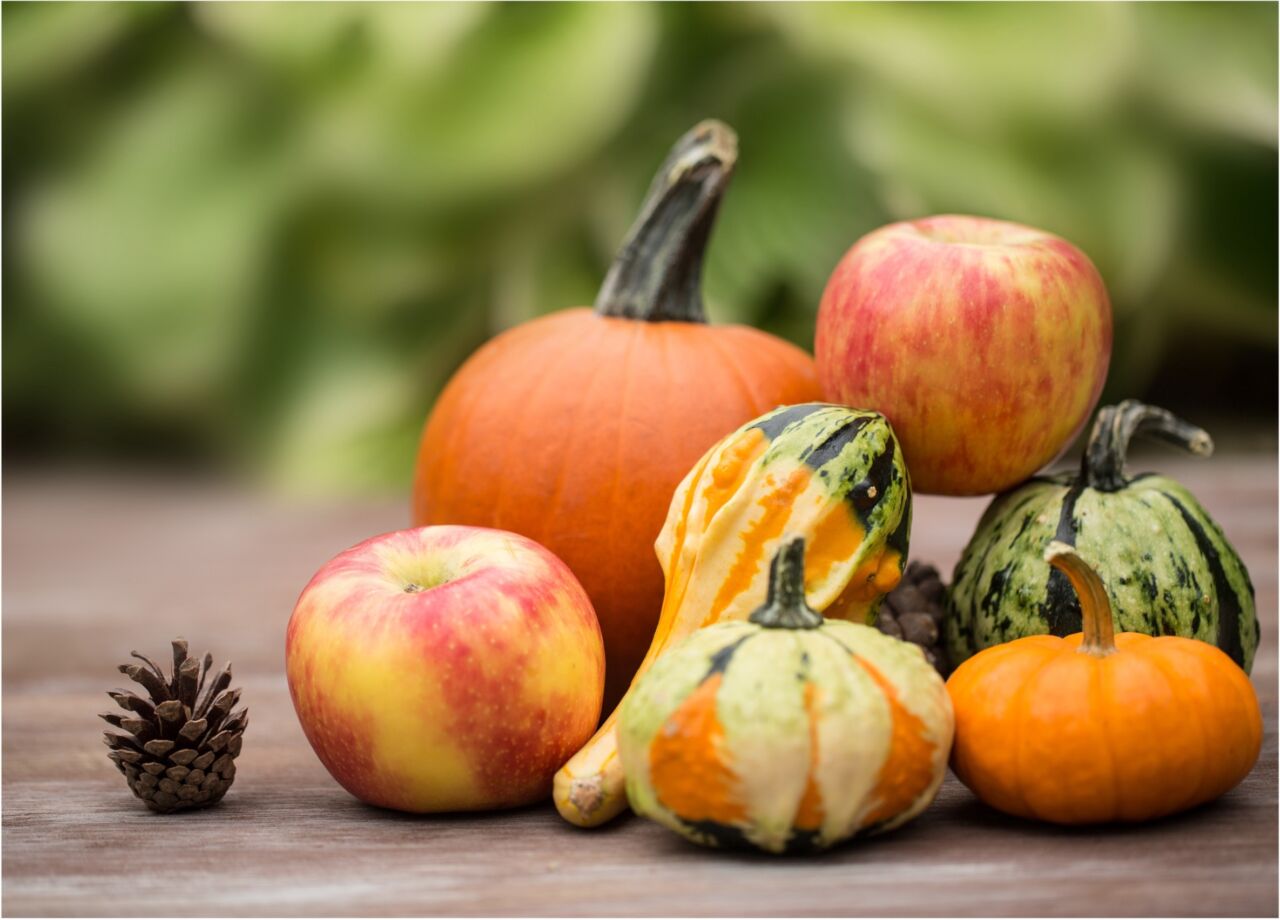 pumpkins, gourds, apples displayed on a table