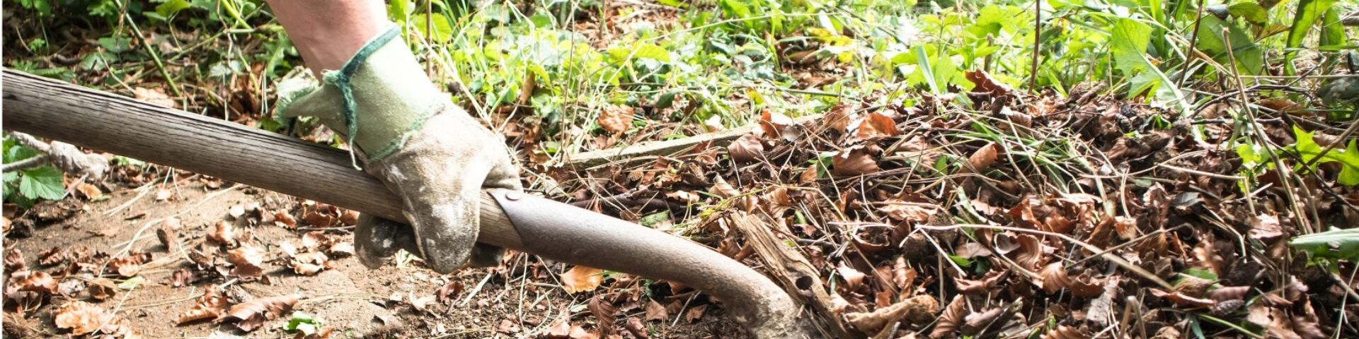 Image of a person pushing a shovel into a pile of brush and dead leaves.