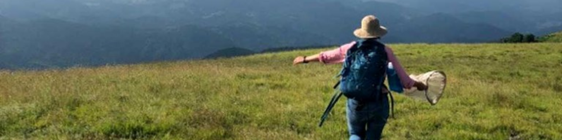 Researcher wearing backpack and sunhat, holding a butterfly net in a grassy meadow overlooking a mountain range.