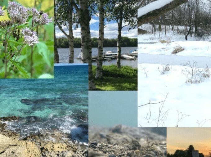 Photo collage of images of nature