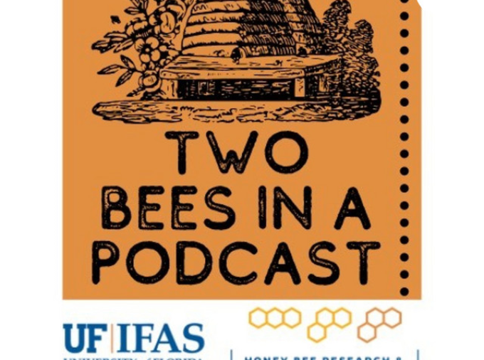 two bees in a podcast logo