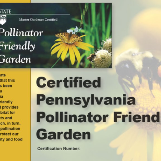 The Master Gardener Certificate for a Certified Pennsylvania Pollinator Friendly Garden