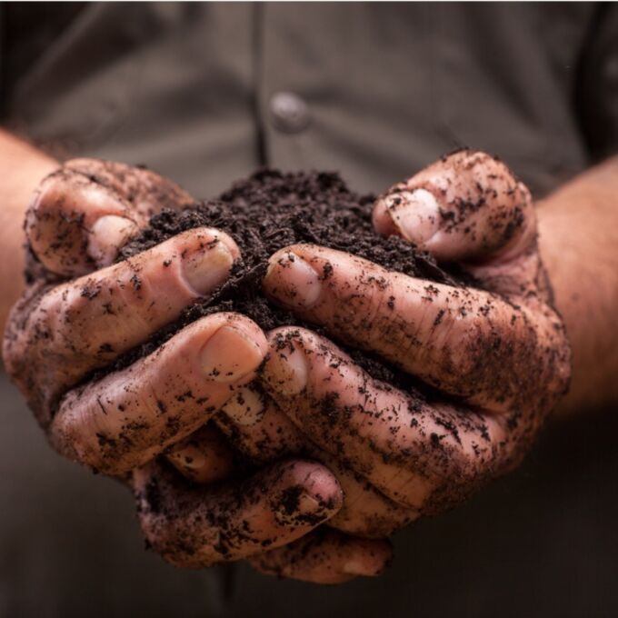 Cupped hands holding a pile of dirt.