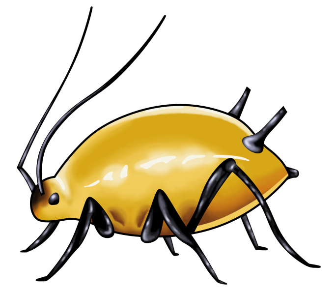 side profile of yellow aphid