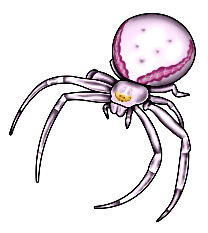 crab spider light purple pink