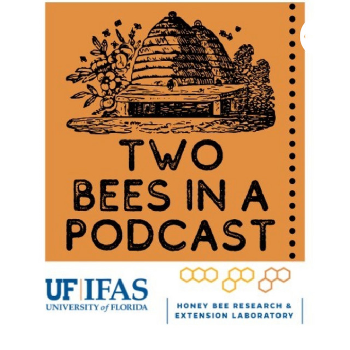 two bees in a podcast logo