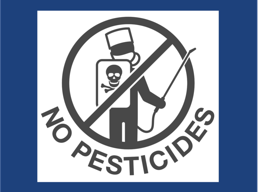 Icon of a person with a tank on their back with a skull and crossbones on it, person is wearing a gas mask, crossed out with the words NO PESTICIDES underneath the image.