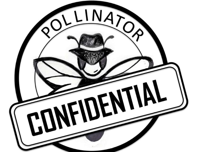 Drawing of a bee dress as a detective with words Pollinator Confidential.