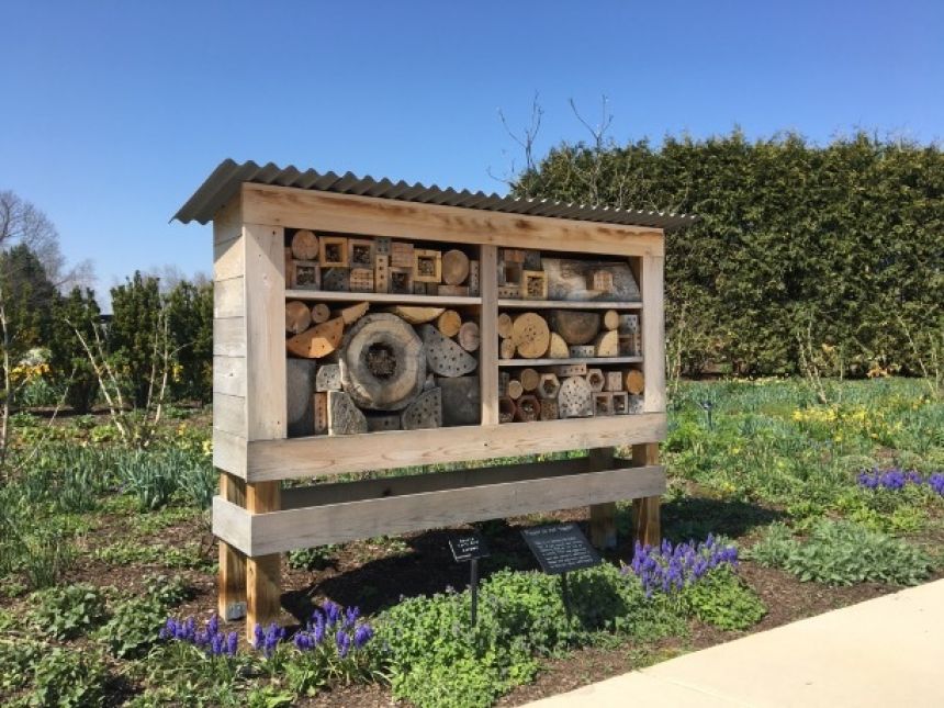 a bee hotel, a wooden structure filled with empty tubes and wood blocks with drilled holes sits alongside a walking path in a garden bed at The Arboretum at Penn State