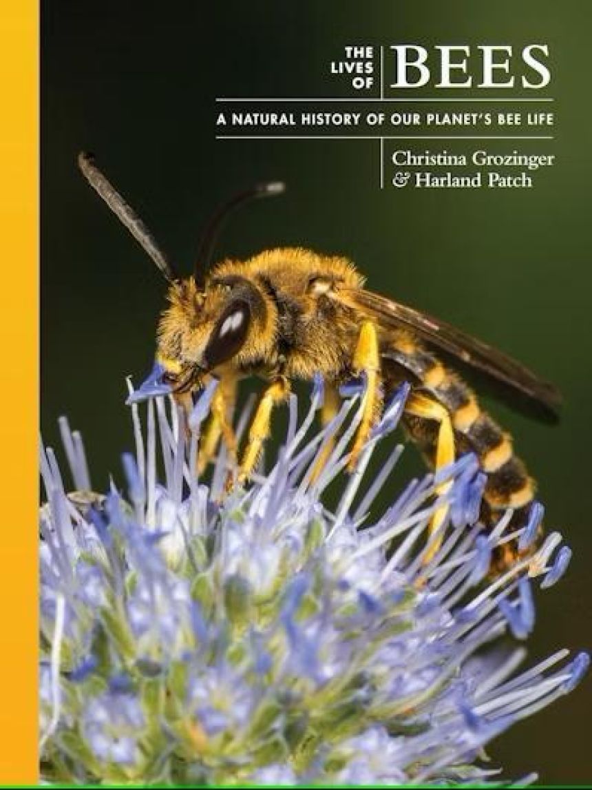 book cover shows bee on flower