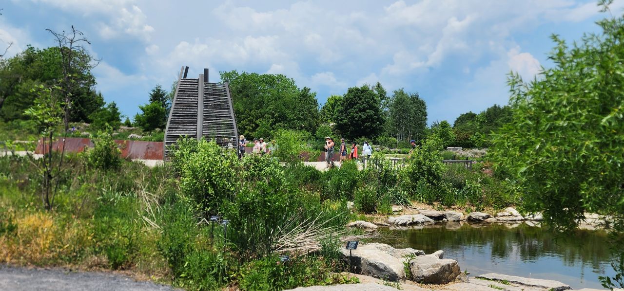 wide shot of pollinator and bird garden