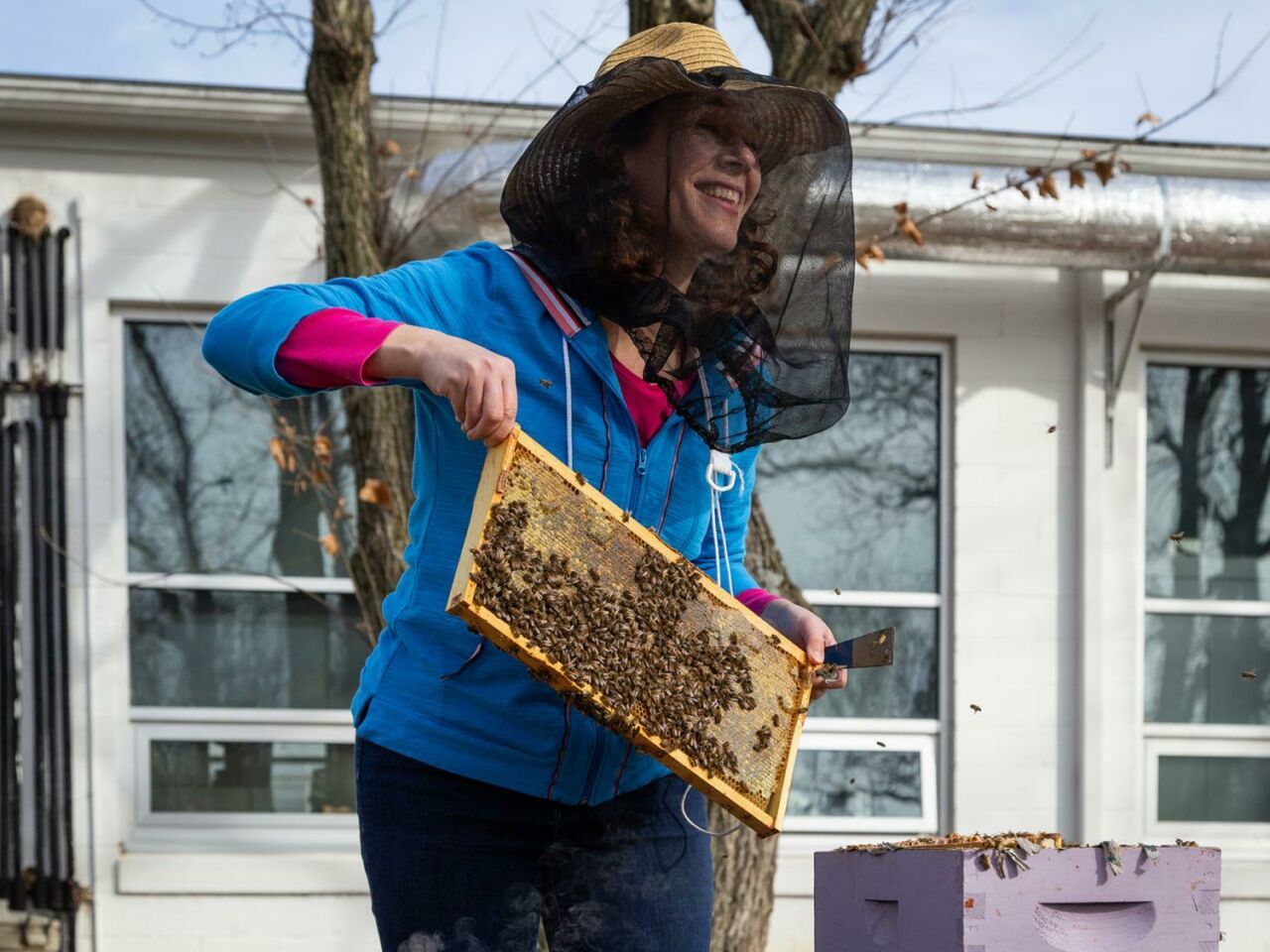 Photograph of Dr. Grozinger wearing beekeeping veil while holding a frame of honey bees.