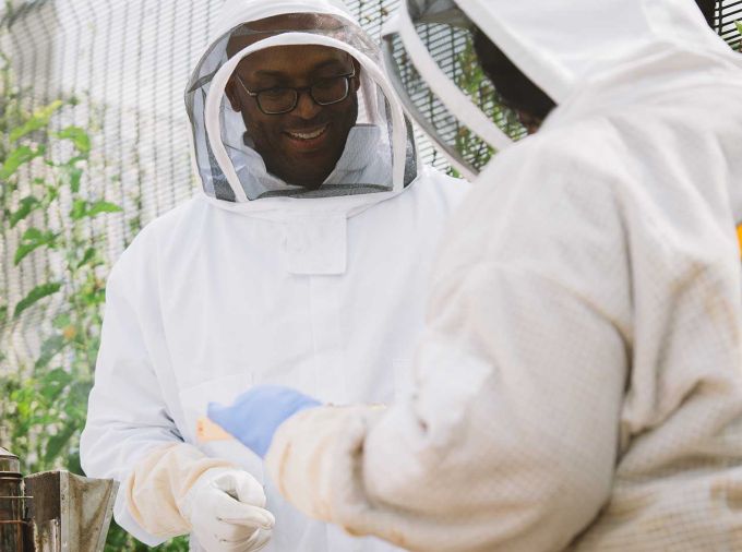 Two people in protective beekeeping suits work with a hive smoker in a fenced outdoor garden area.