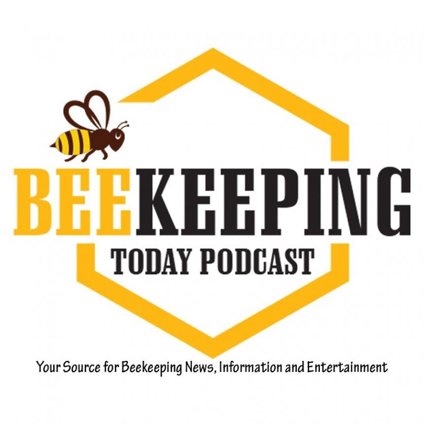 beekeeping today podcast logo featuring a honey bee